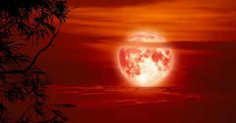 How to Stay Grounded During the Energy of the Blood Moon Eclipse