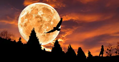 The Power to Manifest with a Mystical Full Moon in September