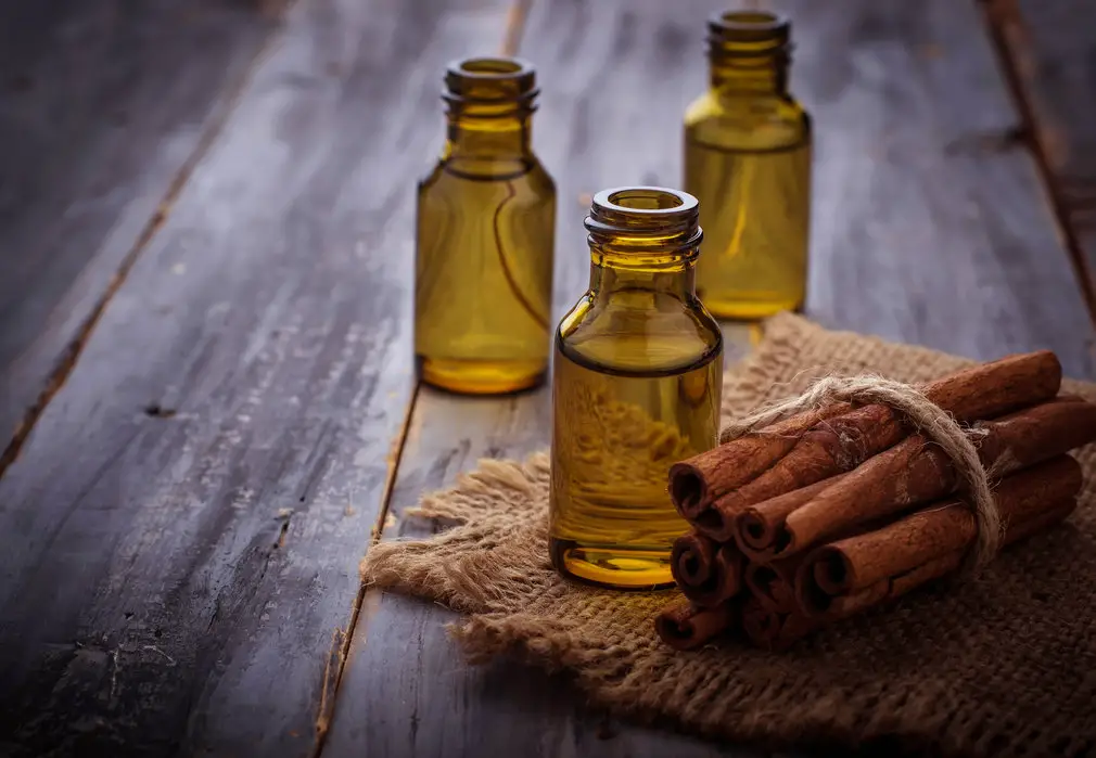 Top 5 Essential Oils To Boost Your Immunity