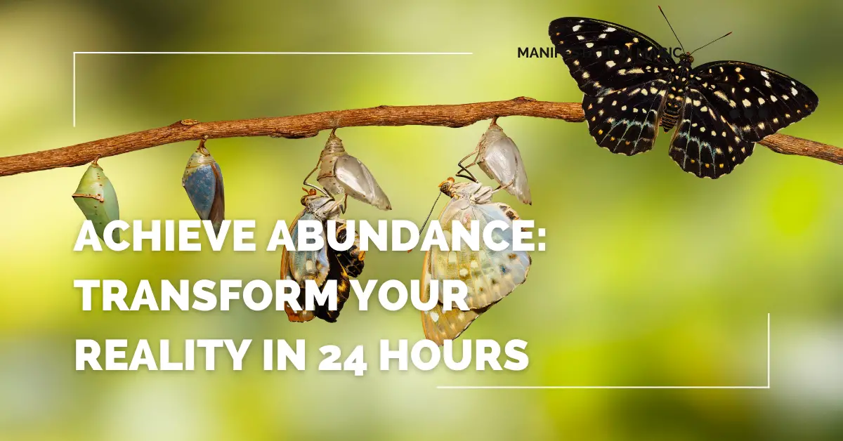 Achieve Abundance: Transform Your Reality in 24 Hours