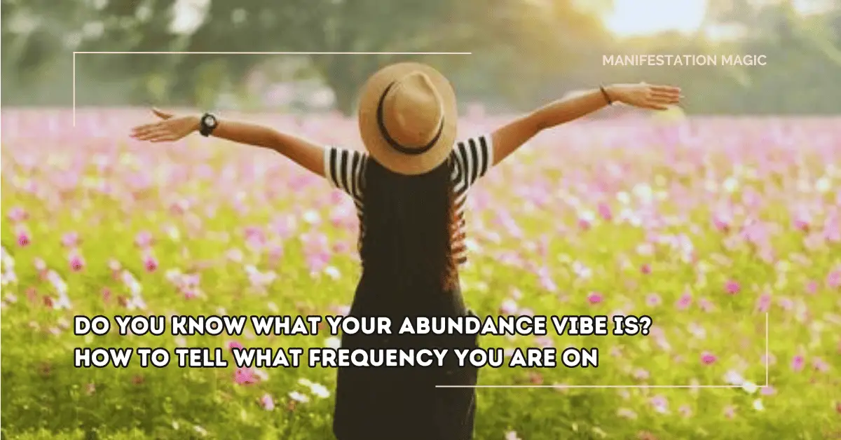 Do you Know What your Abundance Vibe is? How to Tell What Frequency you are On